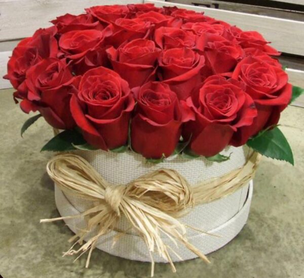 Caja circular con 24 rosas rojas