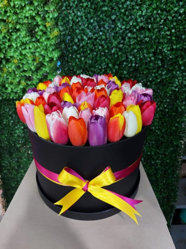 ALEGRE AMOR... TULIPANES