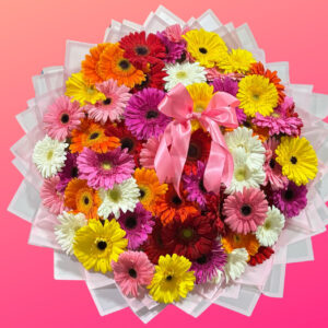 RAMO ELEGANTE DE 50 GERBERAS